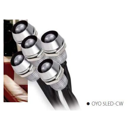 SK-dekoratív lámpatest Oyo 5LED-CW